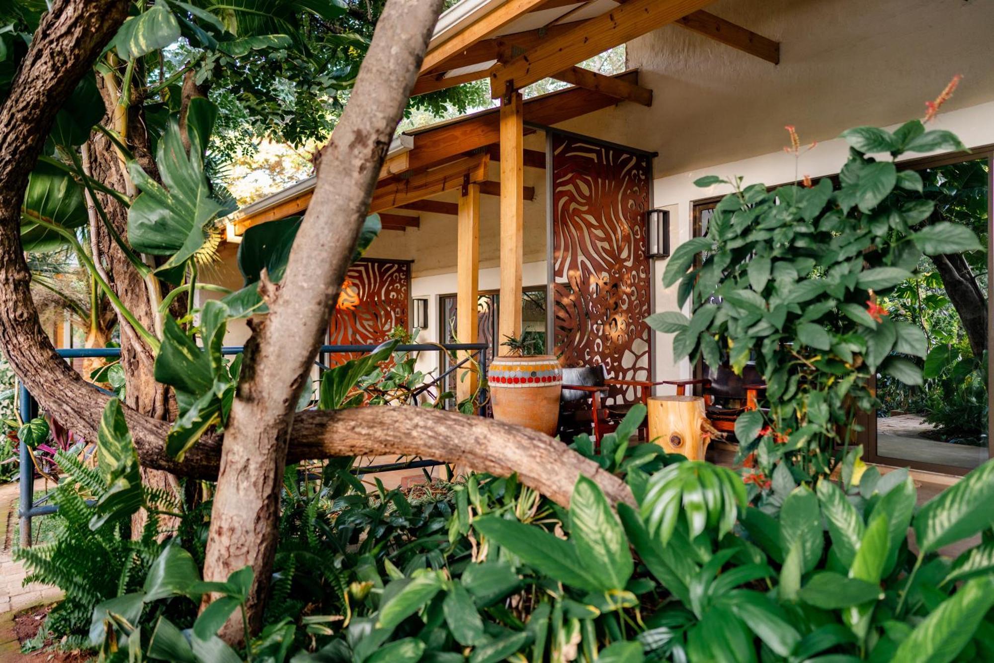 Hotel Shongwe Oasis Victoria Falls Exteriér fotografie